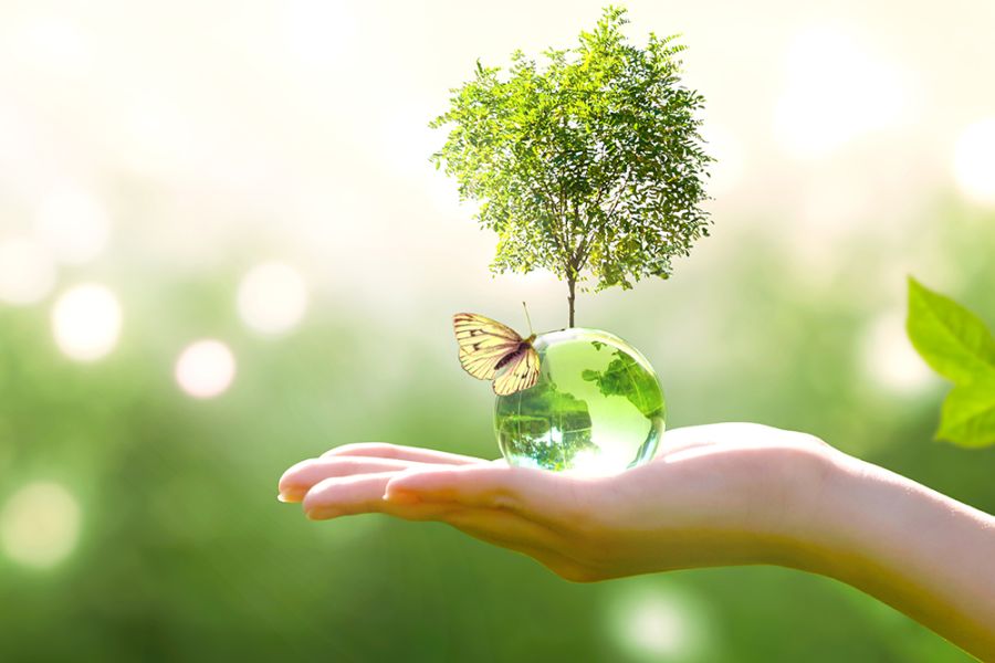ottimizzazione luce e gas